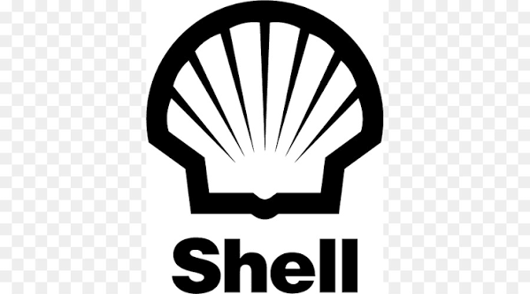 Oil palm shell as partial replacement of coarse aggregate